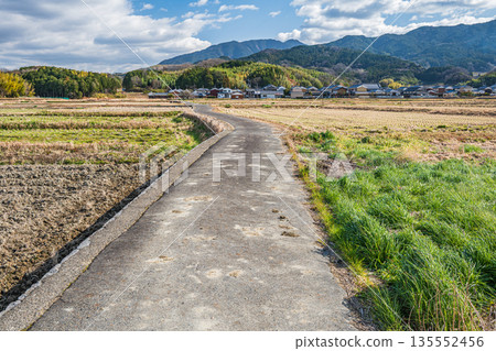 A road running through rice fields in Asuka Village, Nara Prefecture 135552456