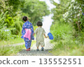 Back view of a brother and sister walking in yukata 135552551
