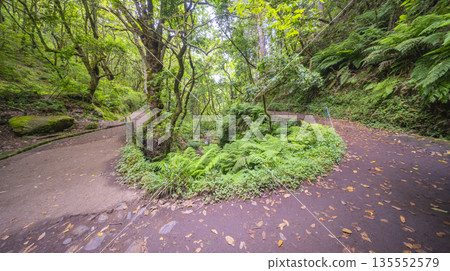 Vereda dos Balcoes PR11 Mountain Footpath, Madeira, Portugal Vereda dos Balcoes PR11 Mountain Footpath, Madeira, Portugal 135552579