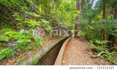Levada Faja dos Rodrigues, Madeira, Portugal Levada Faja dos Rodrigues, Madeira, Portugal 135552585