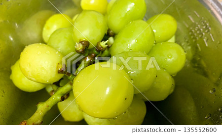 Shine Muscat grapes from Minamihata Town Shine Muscat grapes from Minamihata Town 135552600