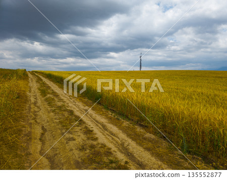 Dramatic communication tower in rural agricultural field 135552877