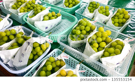 Fresh Shine Muscat 直營店 Fresh Shine Muscat 直營店 135553154