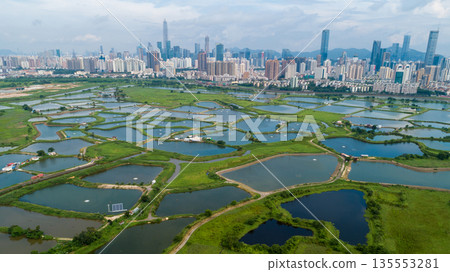 Aerial view of rural green fields with fish ponds on Hong Kong and the skylines of Shenzhen Aerial view of rural green fields with fish ponds on Hong Kong and the skylines of Shenzhen 135553281