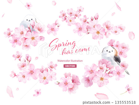 A gentle oval frame designed with watercolor illustrations of cherry blossoms and a small bird (long-tailed tit) Petals on the background (vector 135553518