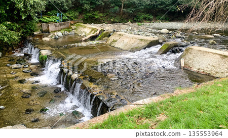 A spot to play in the river on the Inunaki River, which is rich in nature A spot to play in the river on the Inunaki River, which is rich in nature 135553964