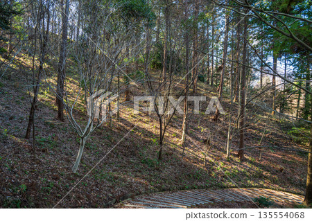 奈良縣飛鳥村天橋丘陵、飛鳥歷史公園、天橋丘陵地區、飛鳥村、天橋丘陵地區、天橋丘陵 奈良縣飛鳥村天橋丘陵、飛鳥歷史公園、天橋丘陵地區、飛鳥村、天橋丘陵地區、天橋丘陵 135554068
