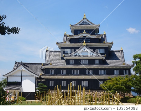 Okayama Castle's keep (Okayama City, Okayama Prefecture) 135554088