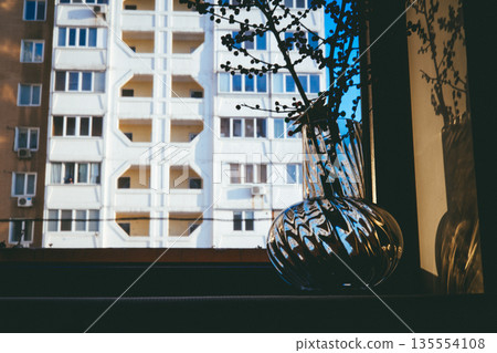Minimalist interior still life featuring a transparent glass vase with red berry branches placed on a windowsill. A play of shadows and light on wall. Minimalist interior still life featuring a transparent glass vase with red berry branches placed on a windowsill. A play of shadows and light on wall. 135554108