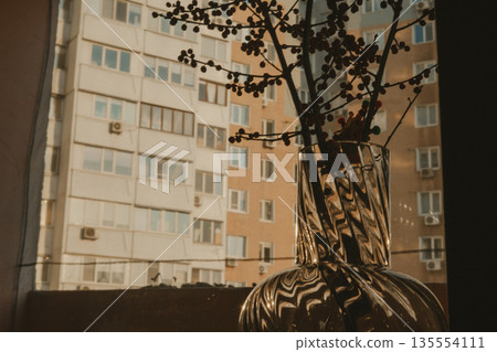 Minimalist interior still life featuring a transparent glass vase with red berry branches placed on a windowsill. A play of shadows and light on wall. 135554111