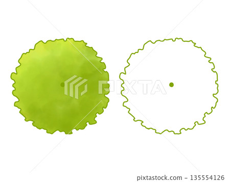 平面圖中的樹木 135554126