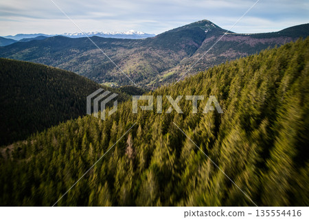 Aerial view of sweeping view of densely forested hills with distant valley and towering mountain peaks, some capped with snow, under a partly cloudy sky. Vastness and beauty of landscape. Aerial view of sweeping view of densely forested hills with distant valley and towering mountain peaks, some capped with snow, under a partly cloudy sky. Vastness and beauty of landscape. 135554416