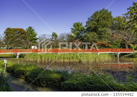 岩槻城遺址公園,埼玉縣埼玉市八橋市 岩槻城遺址公園,埼玉縣埼玉市八橋市 135554482