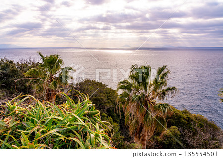 (Shizuoka Prefecture) National Route 135, Ogasaki Wing overlooking the coastline and Izu Seven Islands (crepuscular light) (Shizuoka Prefecture) National Route 135, Ogasaki Wing overlooking the coastline and Izu Seven Islands (crepuscular light) 135554501