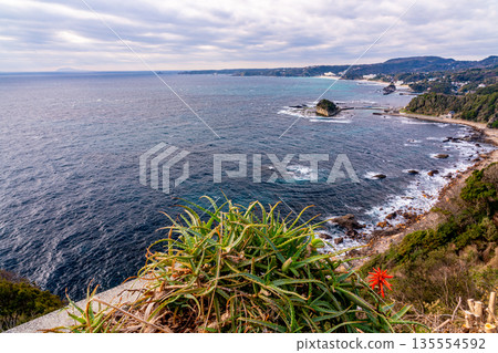 (Shizuoka Prefecture) View of Shirahama from Ogasaki Wing on National Route 135 (Shizuoka Prefecture) View of Shirahama from Ogasaki Wing on National Route 135 135554592