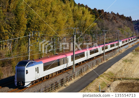 [E259 Series / Narita Express] Narita Line: Sakura - Shisui 135554713