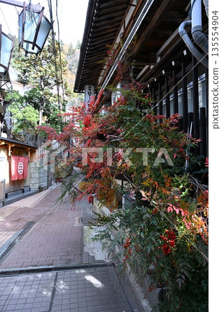 秋季澀溫泉的溫泉小鎮風光（長野縣山之內町） 135554904