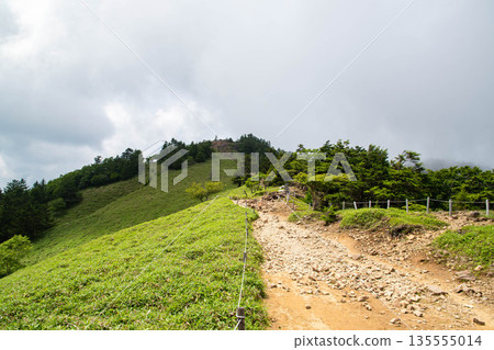 Daibosatsu Pass hiking trail Daibosatsu Pass hiking trail 135555014
