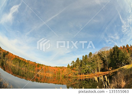 Autumn leaves reflected in Harinoki Pond (Shinano Town, Nagano Prefecture) Autumn leaves reflected in Harinoki Pond (Shinano Town, Nagano Prefecture) 135555063