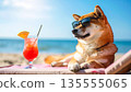 柴犬度假中（旅行、夏季圖片素材） 135555065