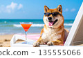柴犬度假中（旅行、夏季圖片素材） 135555066