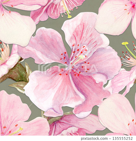 Cherry flowers seamless pattern watercolor, pink tones, hand-painted in natural botanical style isolated on green background. Perfect for wedding invitations, spring cards, packaging, textile design. Cherry flowers seamless pattern watercolor, pink tones, hand-painted in natural botanical style isolated on green background. Perfect for wedding invitations, spring cards, packaging, textile design. 135555252