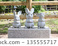 Rabbit at Izumo Taisha 135555717