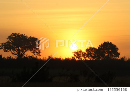Sunset Sunset 135556168