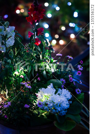 Flowers in the illuminations Flowers in the illuminations 135556172