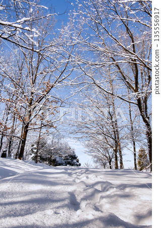 Footprints in the field and a sunny day Footprints in the field and a sunny day 135556917