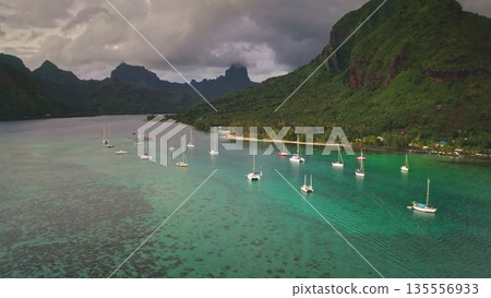 Moorea island's Opunohu Bay presenting numerous sailboats anchored in a clear turquoise lagoon, surrounded by lush tropical mountains and a sandy beach shoreline with palm trees Moorea island's Opunohu Bay presenting numerous sailboats anchored in a clear turquoise lagoon, surrounded by lush tropical mountains and a sandy beach shoreline with palm trees 135556933