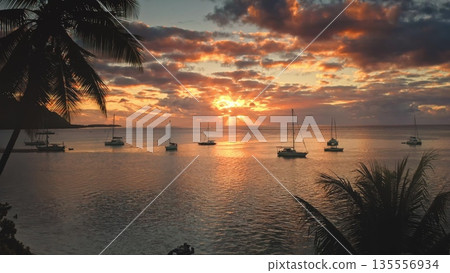 Moorea island seascape shows a dramatic tropical sunset over calm ocean waters, with sailing boats anchored peacefully, framed by silhouetted palm tree fronds and vibrant clouds Moorea island seascape shows a dramatic tropical sunset over calm ocean waters, with sailing boats anchored peacefully, framed by silhouetted palm tree fronds and vibrant clouds 135556934