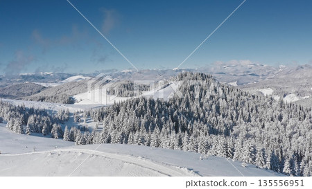 Serene aerial view of snow-covered mountain range, frost covered evergreens blanket slopes under clear blue sky, picturesque winter wonderland. Bukovel ski resort. Winter wild nature travel background Serene aerial view of snow-covered mountain range, frost covered evergreens blanket slopes under clear blue sky, picturesque winter wonderland. Bukovel ski resort. Winter wild nature travel background 135556951