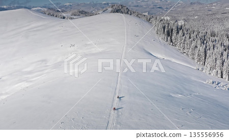 Two snowmobiles driving up a snowy mountain ridge, leaving fresh tracks in snow, with coniferous forest beside them and snow-covered peaks in the background. Winter wild nature travel background 135556956
