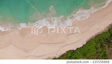 Foamy ocean waves gently breaking on empty sandy beach shoreline, with lush green tropical foliage bordering the sand under bright sky. Travel background. Wild nature. Aerial top down view zoom out 135556989