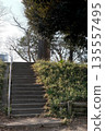 公園裡的樓梯 135557495