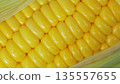 Macro shot of fresh yellow sweet corn kernels with green husk. 135557655