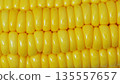 Close-up texture of yellow sweet corn kernels in vertical rows. 135557657