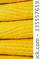 Background of multiple ripe yellow sweet corn cobs arranged horizontally. 135557659