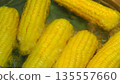Sweet corn cobs boiling in hot water in a pot, cooking process. 135557660