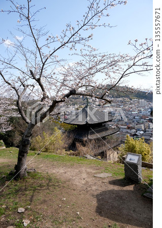 Onomichi City, Hiroshima Prefecture_Tenneiji Temple Three-story Pagoda 1_March 2025 135557671