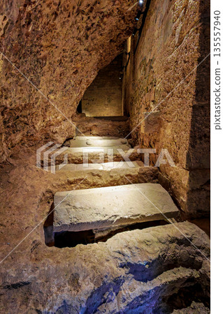 The Royal Monastery Of San Juan De La Pena near Jaca. Huesca, Aragon. Spain The Royal Monastery Of San Juan De La Pena near Jaca. Huesca, Aragon. Spain 135557940