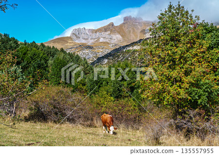 Hiking the Majada de Gabardito trail at Canfranc in Huesca, Spain. Close to the border with France. 135557955
