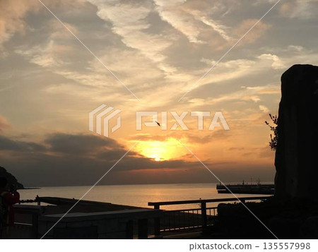 A bird flying in an orange sunset 135557998