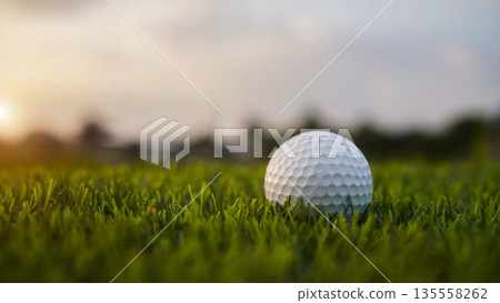 Golf ball on green grass in the evening golf course with sunshine background. Golf ball on green grass in the evening golf course with sunshine background. 135558262