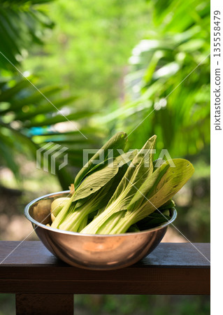 Fresh Bok Choy in Bowl with Tropical Leaves Background for Healthy Food Concept 135558479