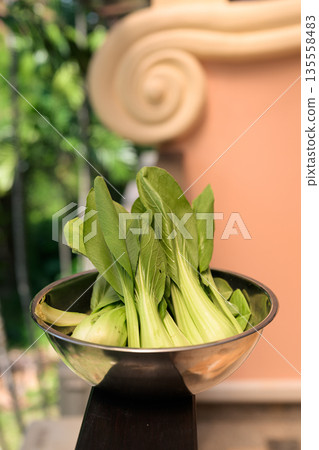 Fresh Bok Choy in Bowl with Tropical Leaves Background for Healthy Food Concept Fresh Bok Choy in Bowl with Tropical Leaves Background for Healthy Food Concept 135558483