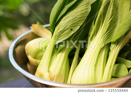 Fresh Bok Choy in Bowl with Tropical Leaves Background for Healthy Food Concept Fresh Bok Choy in Bowl with Tropical Leaves Background for Healthy Food Concept 135558484