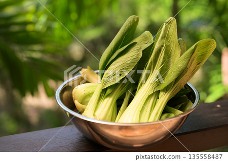Fresh Bok Choy in Bowl with Tropical Leaves Background for Healthy Food Concept Fresh Bok Choy in Bowl with Tropical Leaves Background for Healthy Food Concept 135558487