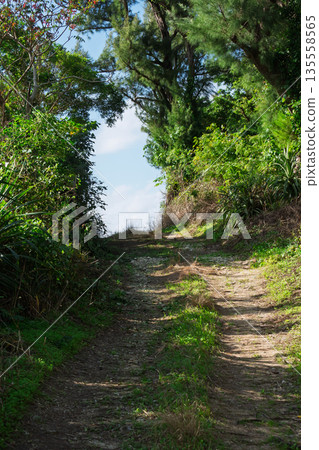 An anime-style country road filled with summer light, a mysterious path surrounded by greenery (background material, nostalgia) An anime-style country road filled with summer light, a mysterious path surrounded by greenery (background material, nostalgia) 135558565